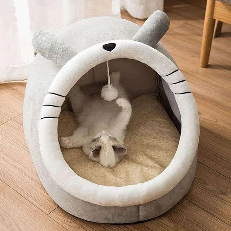 Caminha iglu para Gatos - Pet Iglu